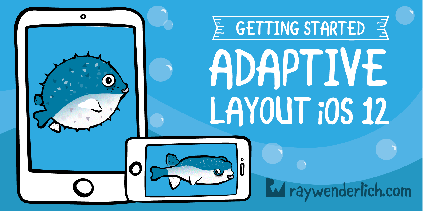 Adaptive Layout Tutorial in iOS 11: Getting Started